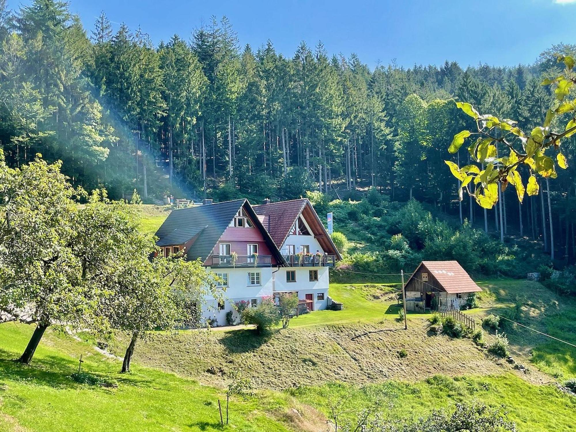 Ferienwohnung Deine Rauszeit Зебах Екстер'єр фото